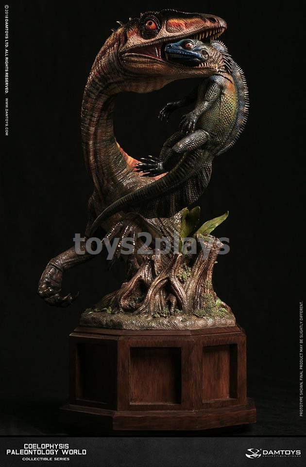 DAMTOYS Coelophysis Type B (yellow)