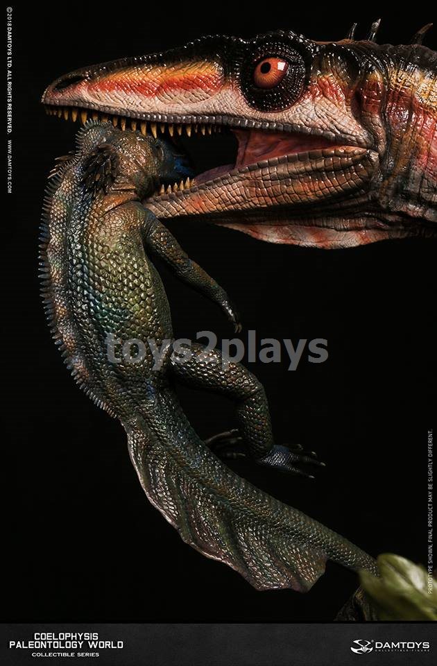 DAMTOYS Coelophysis Type B (yellow)