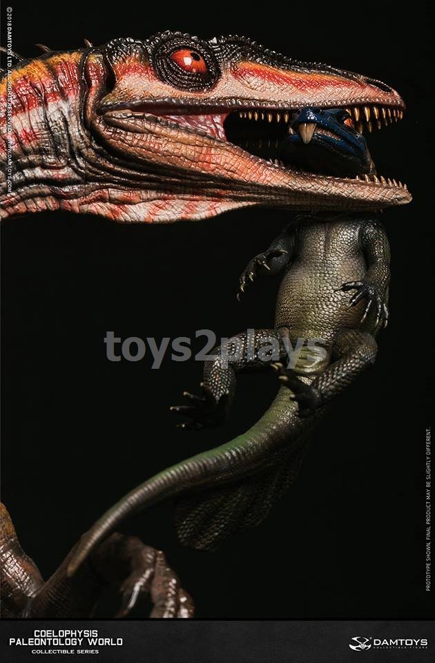 DAMTOYS Coelophysis Type B (yellow)