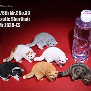 Mr. Z 1/6 MRZ039-ES001-MRZ039-ES006 Animal Model Exotic Shorthair