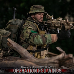 DAMTOYS 78081  Operation Red Wings NAVY SEALS  SDV TEAM 1 Radio Telephone Operator   