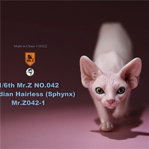 Mr. Z Animal Model MRZ042 1/6th Canadian Hairless