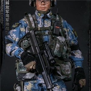 DAMTOYS DAM 78068 1/6 PLA NAVY MARINE CORPS