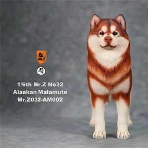 Mr.Z MRZ032-AM002 Alaskan Malamute Red Brown and White 