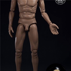 WorldBox AT020 1/6 Scale Crazy Durable Body