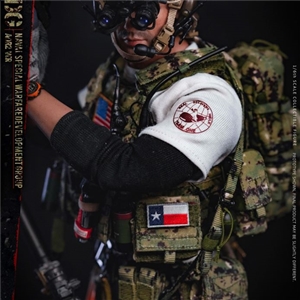 DAMTOYS 78072 NSWDG NAVAL SPECIAL WARFARE DEVELOPMENT GROUP - AOR2 VER