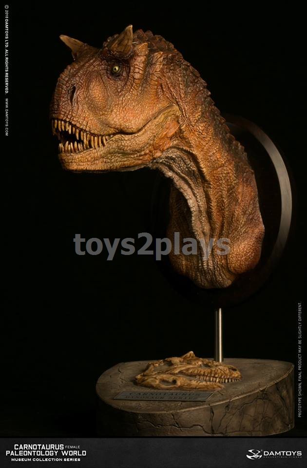 DAMTOYS MUSEUM SERIES  MUS006B : CARNOTAURUS（female）BUST COLLECTIBLE STATUE