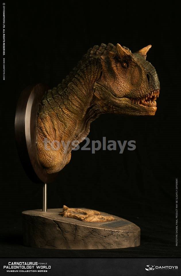 DAMTOYS MUSEUM SERIES  MUS006B : CARNOTAURUS（female）BUST COLLECTIBLE STATUE