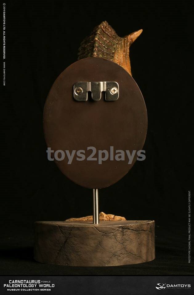 DAMTOYS MUSEUM SERIES  MUS006B : CARNOTAURUS（female）BUST COLLECTIBLE STATUE