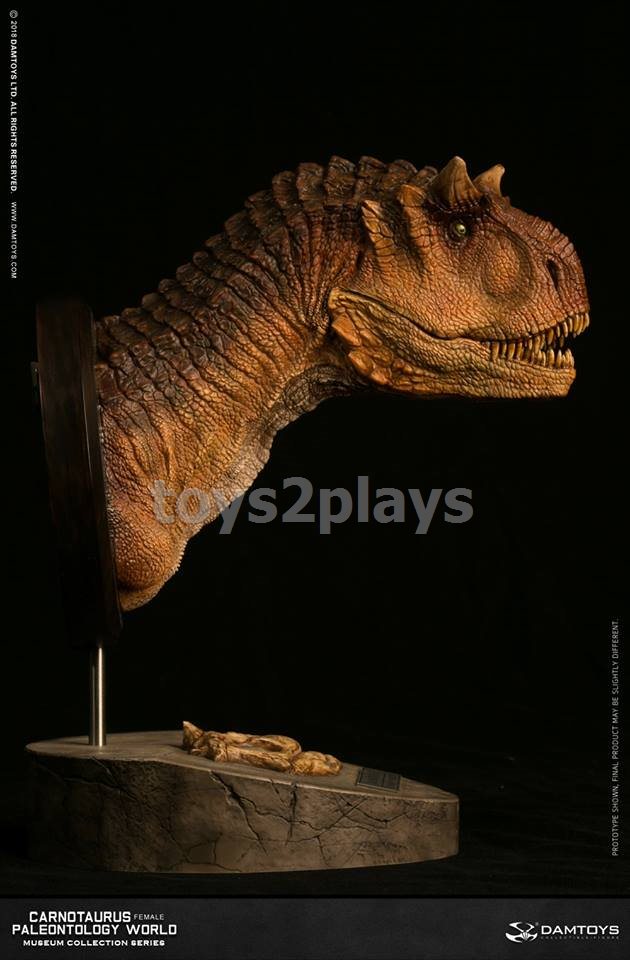 DAMTOYS MUSEUM SERIES  MUS006B : CARNOTAURUS（female）BUST COLLECTIBLE STATUE