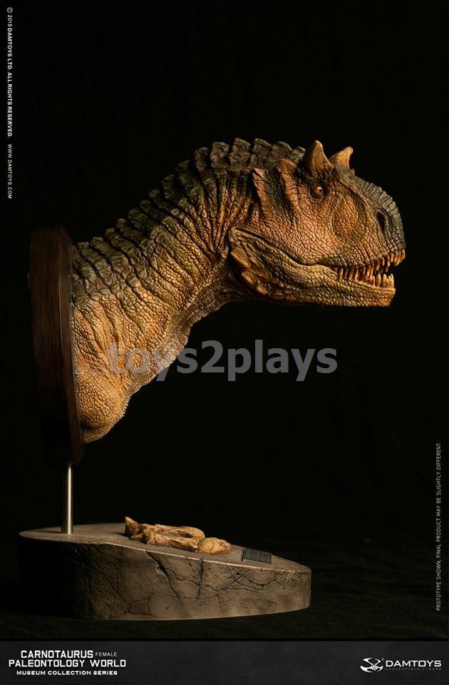 DAMTOYS MUSEUM SERIES  MUS006B : CARNOTAURUS（female）BUST COLLECTIBLE STATUE