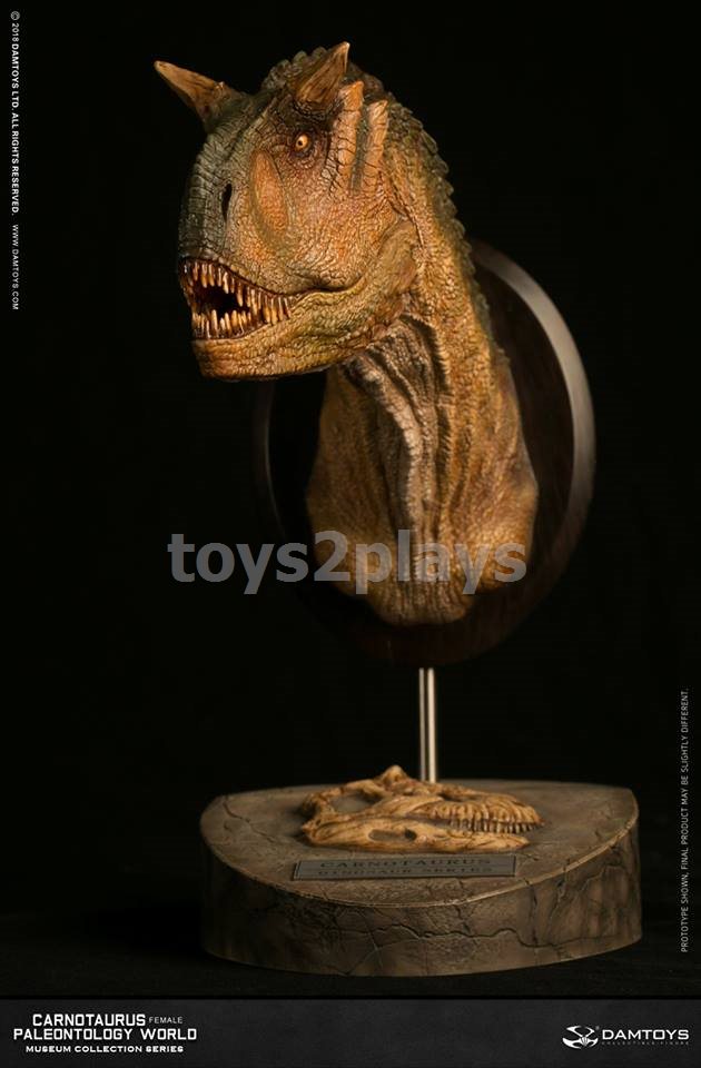 DAMTOYS MUSEUM SERIES  MUS006B : CARNOTAURUS（female）BUST COLLECTIBLE STATUE