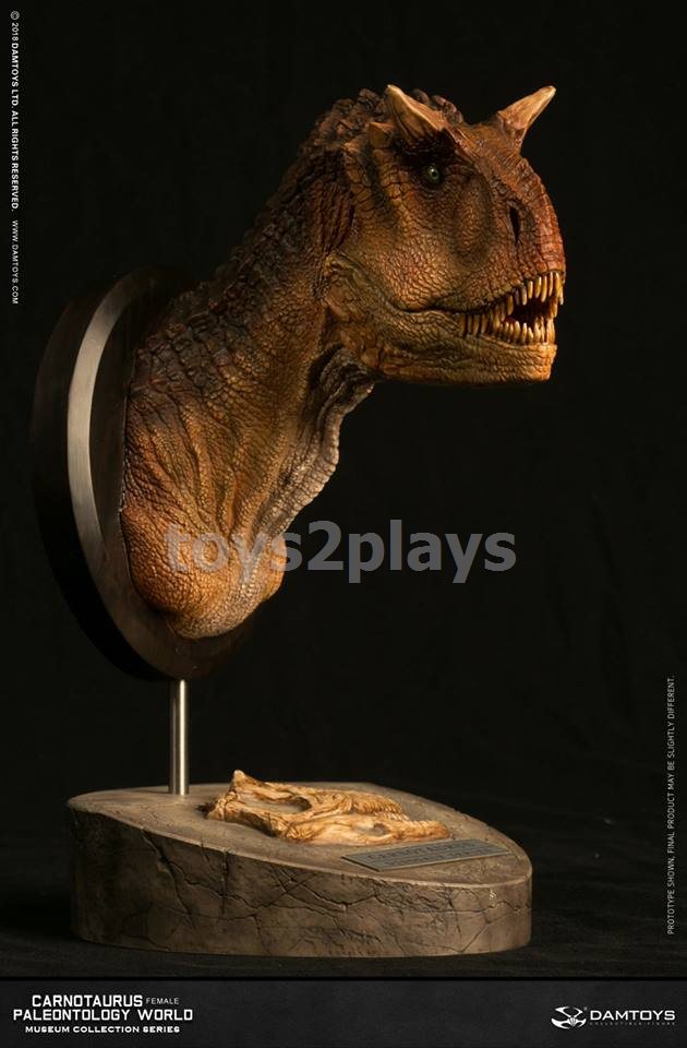 DAMTOYS MUSEUM SERIES  MUS006B : CARNOTAURUS（female）BUST COLLECTIBLE STATUE