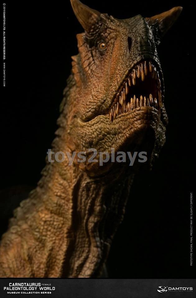 DAMTOYS MUSEUM SERIES  MUS006B : CARNOTAURUS（female）BUST COLLECTIBLE STATUE