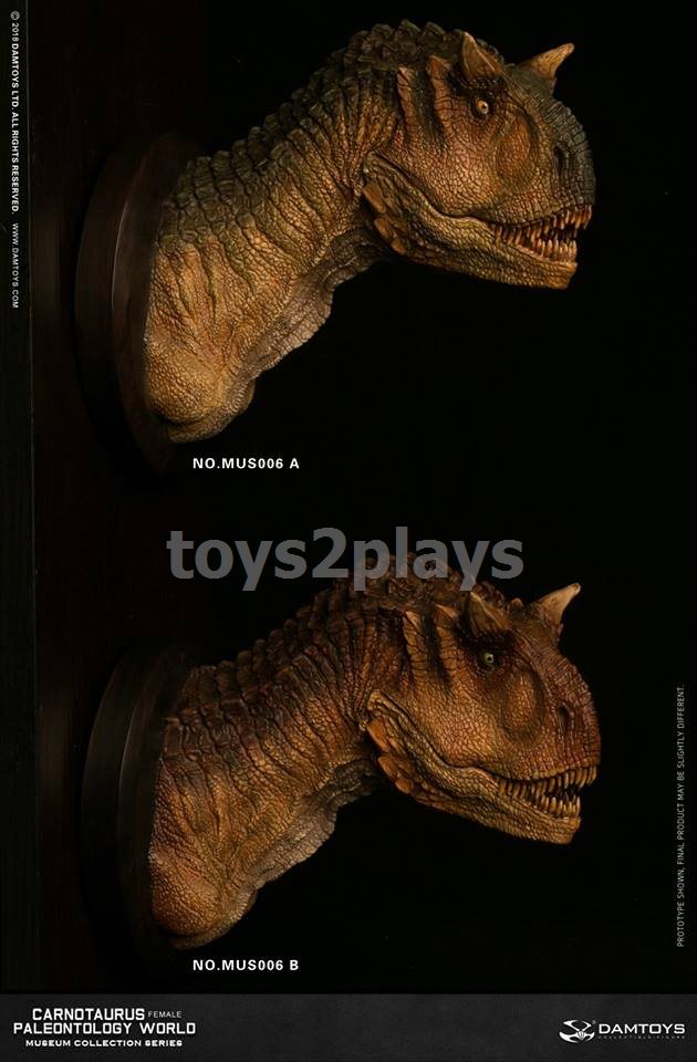 DAMTOYS MUSEUM SERIES  MUS006B : CARNOTAURUS（female）BUST COLLECTIBLE STATUE
