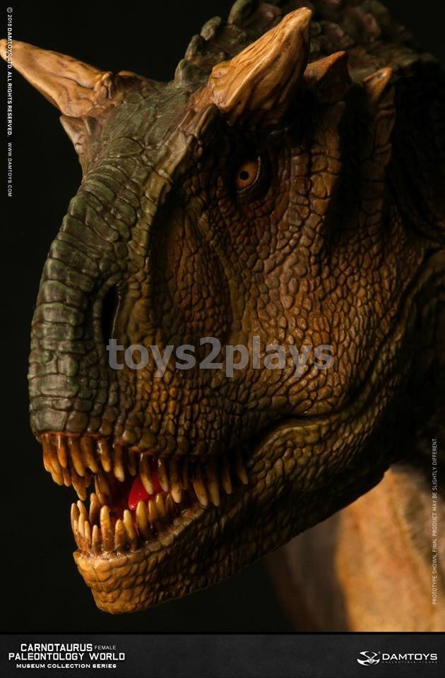 DAMTOYS MUSEUM SERIES  MUS006B : CARNOTAURUS（female）BUST COLLECTIBLE STATUE