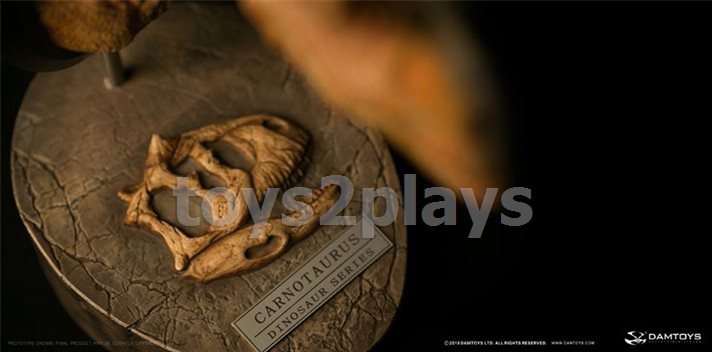 DAMTOYS MUSEUM SERIES  MUS006B : CARNOTAURUS（female）BUST COLLECTIBLE STATUE