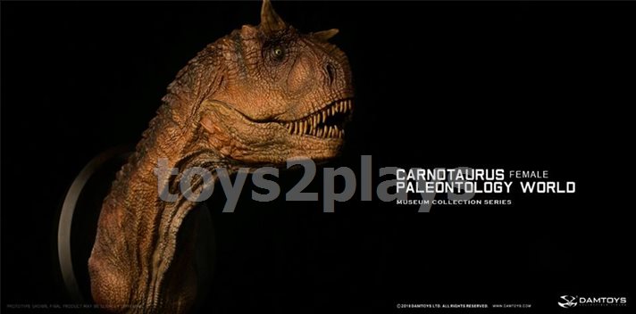 DAMTOYS MUSEUM SERIES  MUS006B : CARNOTAURUS（female）BUST COLLECTIBLE STATUE