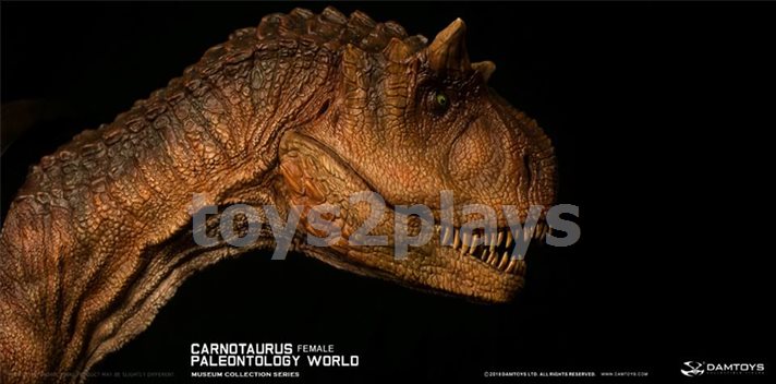 DAMTOYS MUSEUM SERIES  MUS006B : CARNOTAURUS（female）BUST COLLECTIBLE STATUE