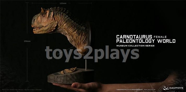 DAMTOYS MUSEUM SERIES  MUS006B : CARNOTAURUS（female）BUST COLLECTIBLE STATUE