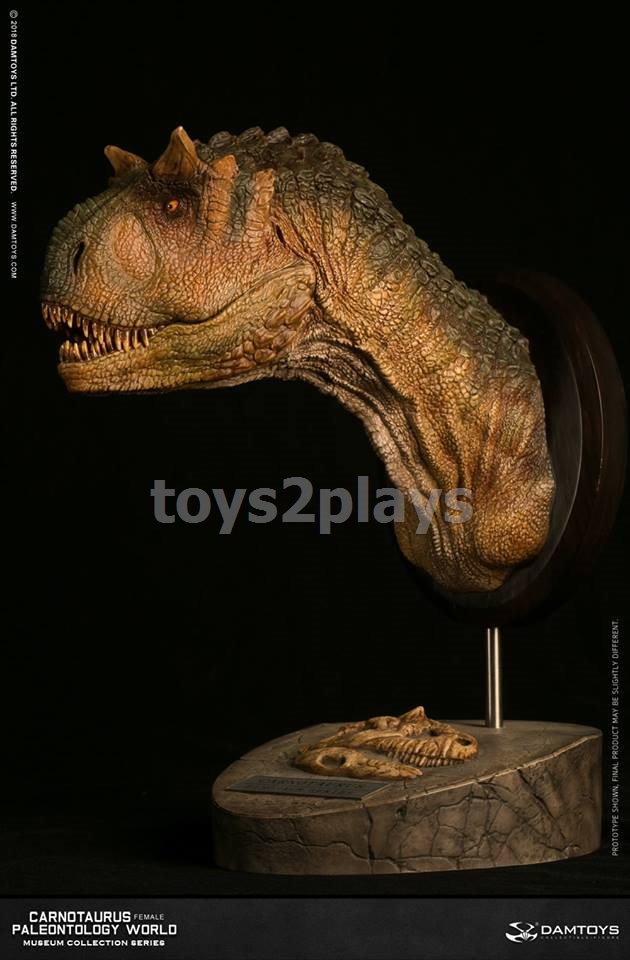 DAMTOYS MUSEUM SERIES  MUS006B : CARNOTAURUS（female）BUST COLLECTIBLE STATUE
