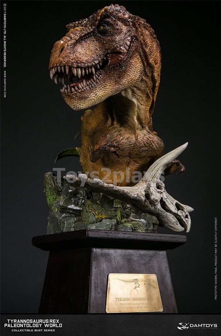 DAMTOYS MUS001A T-REX -BUST สินค้าตัวโชว์