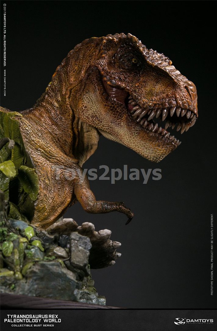 DAMTOYS MUS001A T-REX -BUST สินค้าตัวโชว์