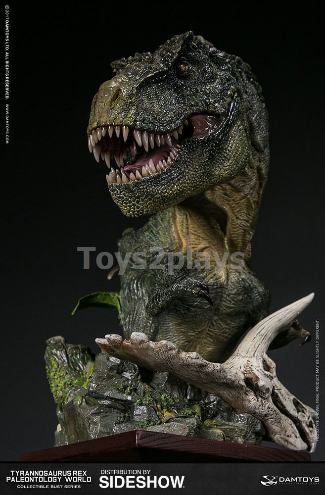 DAMTOYS MUS001B  Green - Museum Collection Series สินค้าตัวโชว์